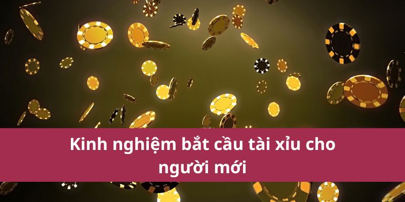 Bắt cầu tài xỉu cho người mới cần có kinh nghiệm nào 