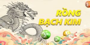 soi cau rong bach kim 4