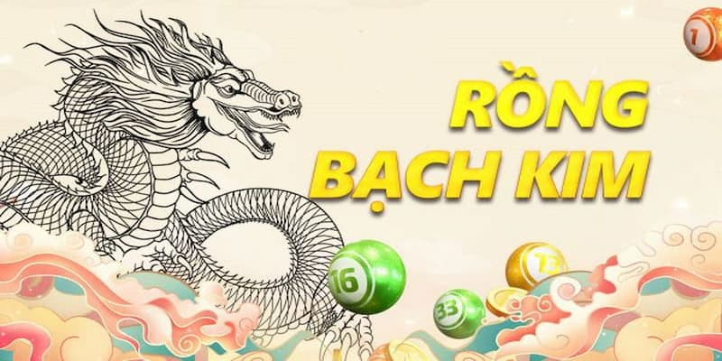 soi cau rong bach kim 4